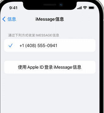 长丰apple维修iPhone上无法正常发送iMessage信息