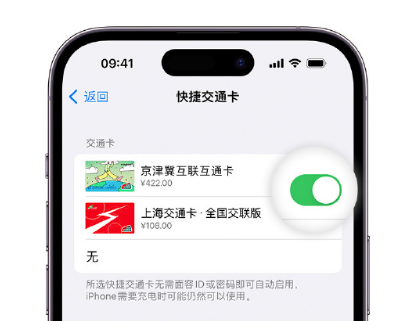 长丰apple维修点分享iPhone上更换Apple Pay快捷交通卡手绘卡面 