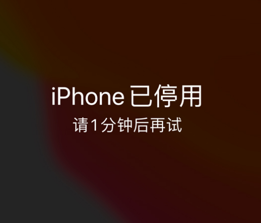 长丰苹果手机维修分享:iPhone 显示“不可用”或“已停用”怎么办？还能保留数据吗？ 