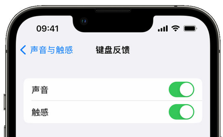 长丰苹果手机维修分享iPhone 14触感键盘使用方法 