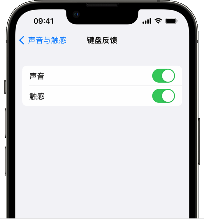 长丰苹果14维修店分享如何在 iPhone 14 机型中使用触感键盘 