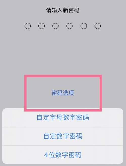 长丰苹果14维修分享iPhone 14plus设置密码的方法 