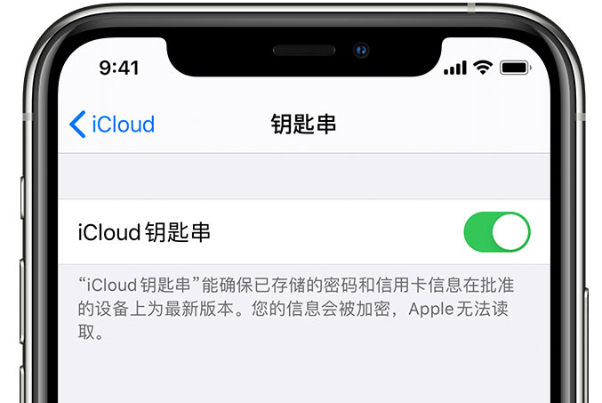 长丰苹果手机维修分享在 iPhone 上开启 iCloud 钥匙串之后会储存哪些信息 