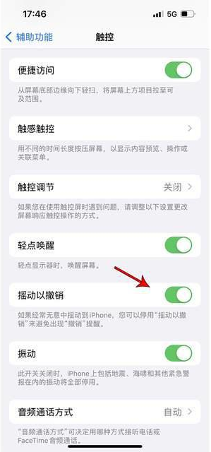 长丰苹果手机维修分享iPhone手机如何设置摇一摇删除文字 