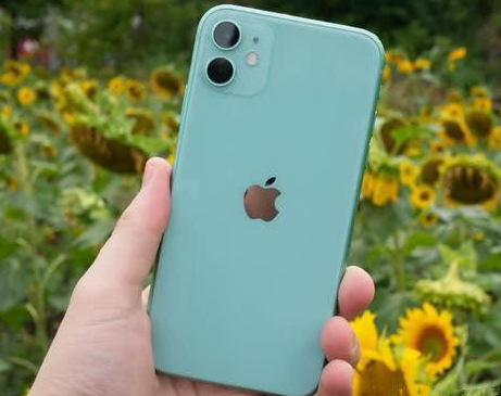 长丰苹果维修点分享iPhone 11锁屏密码认知与使用科普 