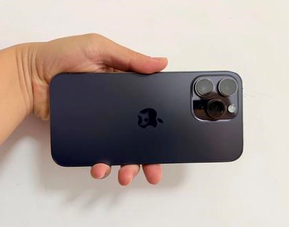 长丰苹果维修点分享iPhone 14 Pro Max发烫多重诱因剖析 